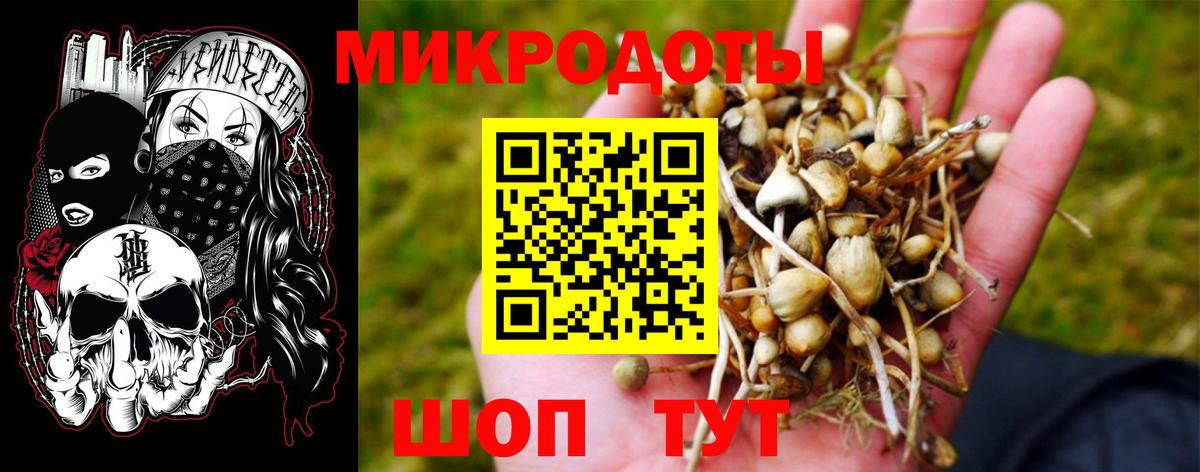 Псилоцибиновые грибы мицелий  Галлюциногенные грибы Cubensis  Москва  Вход с VPN 